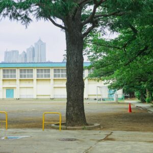 ホームスクーリング